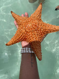 KAIA PEARL BRACELET